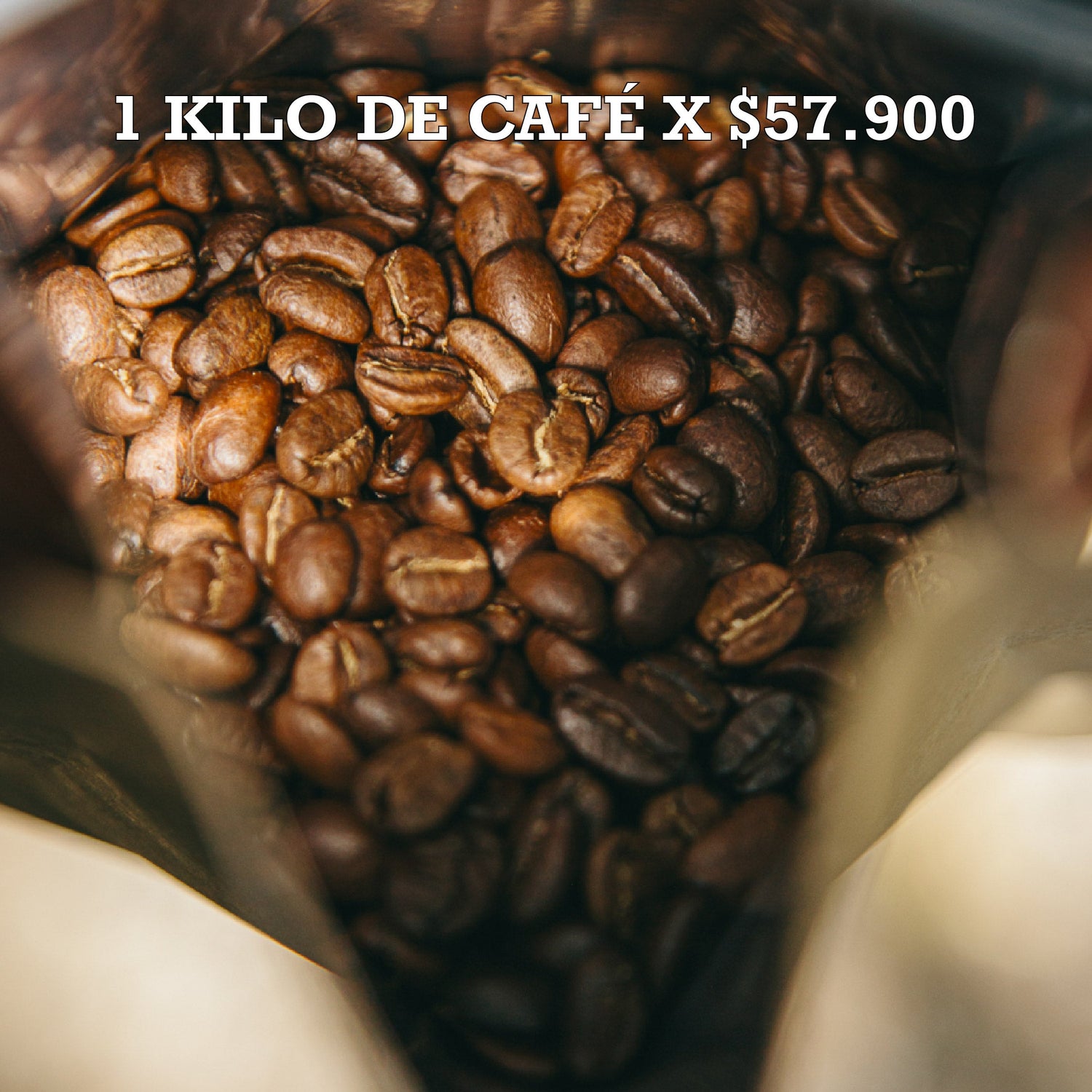CAFÉ POR KILO